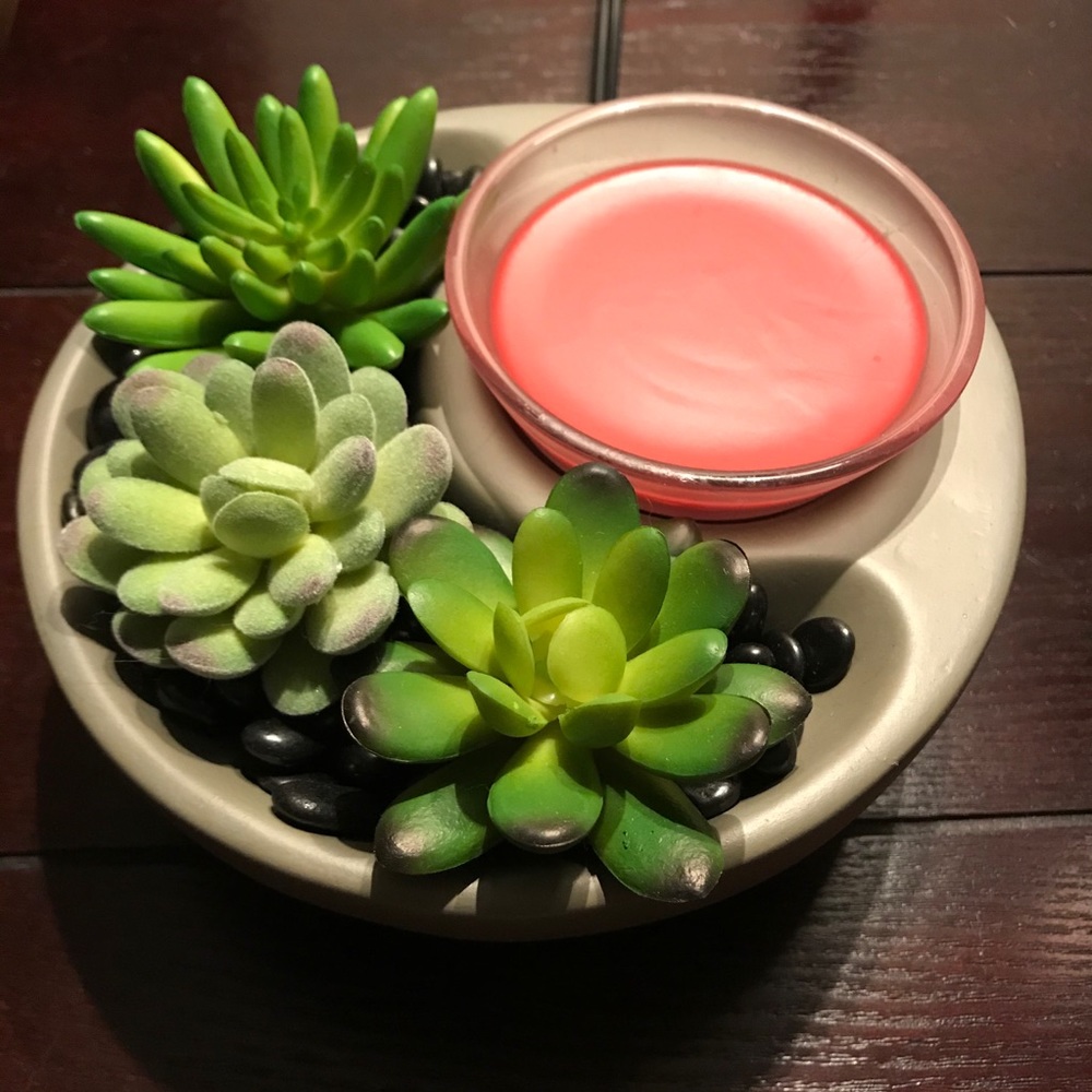 Scentsy Little Garden succulent wax warmer